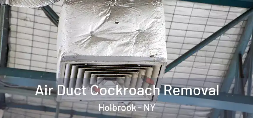  Air Duct Cockroach Removal Holbrook - NY