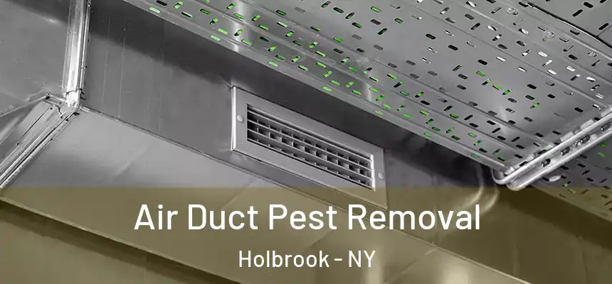 Air Duct Pest Removal Holbrook - NY