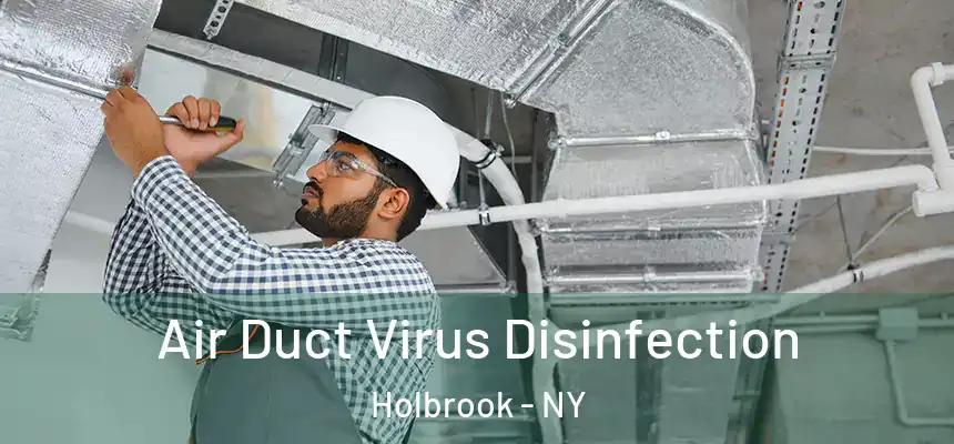  Air Duct Virus Disinfection Holbrook - NY