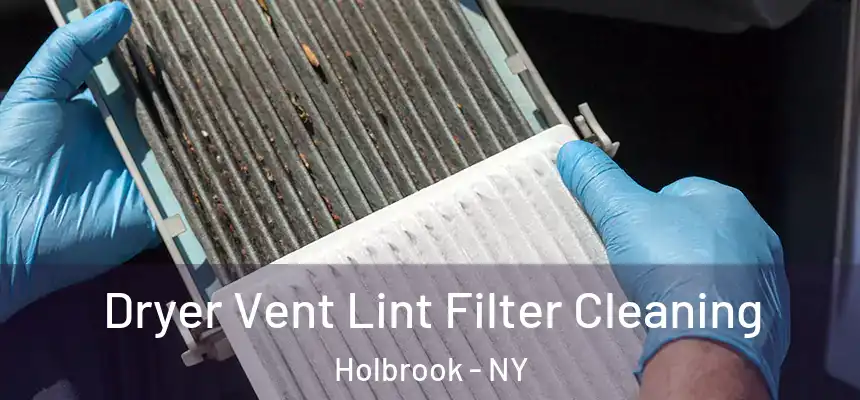  Dryer Vent Lint Filter Cleaning Holbrook - NY