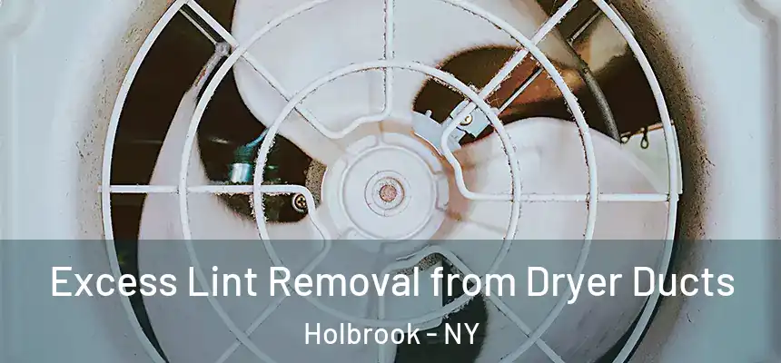  Excess Lint Removal from Dryer Ducts Holbrook - NY