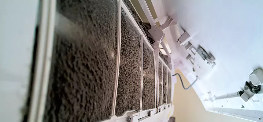 Preventive Air Duct Bacteria Removal in Holbrook