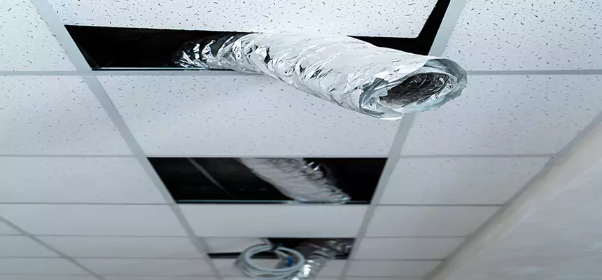 Our Air Duct Pet Hair Removal Services in Holbrook, NY