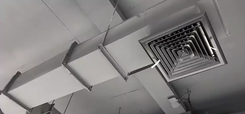 Our Pest Removal From Ducts Services in Holbrook, NY