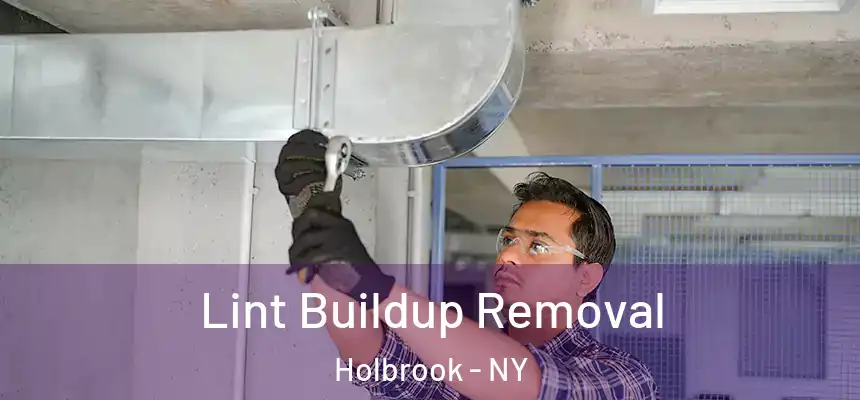  Lint Buildup Removal Holbrook - NY