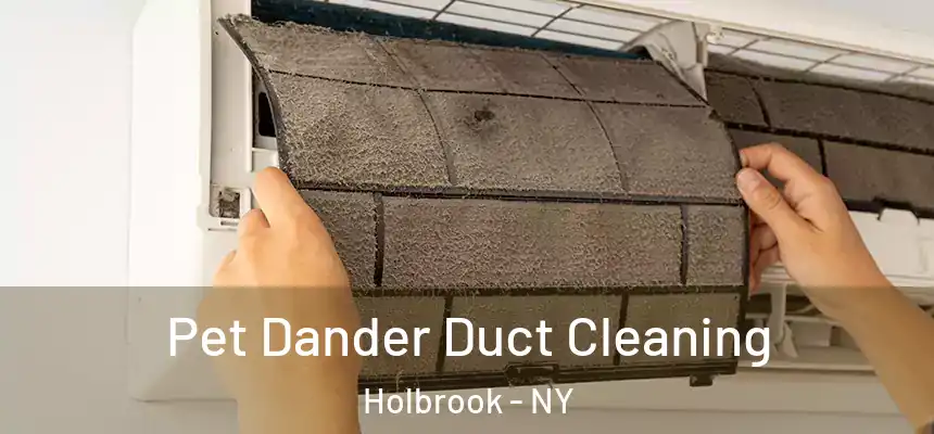  Pet Dander Duct Cleaning Holbrook - NY