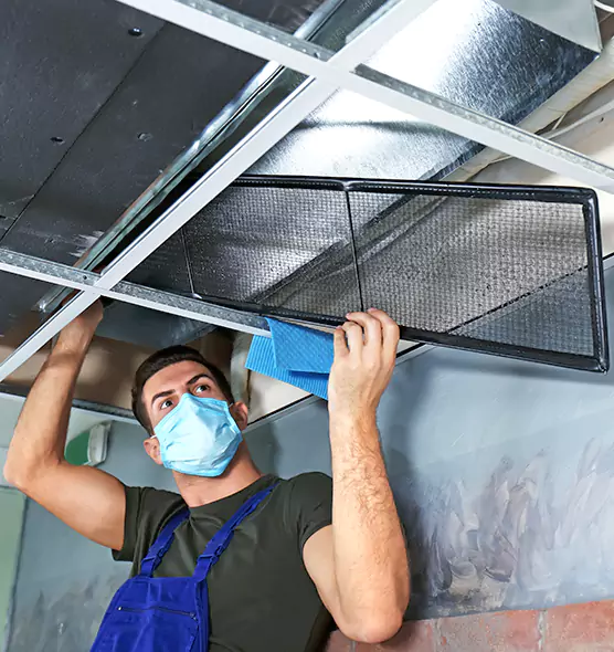 About Air Duct Bacteria Removal in Holbrook
