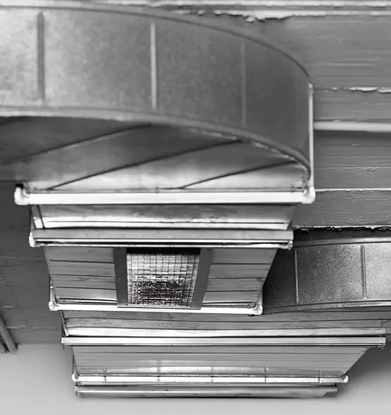 Professional Air Duct Pest Removal in Holbrook, NY