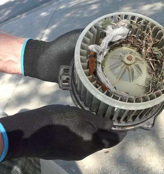 About Air Duct Rat Removal in Holbrook, NY