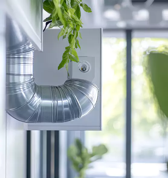 Professional Eco-Safe Dryer Vent Cleaning in Holbrook, NY