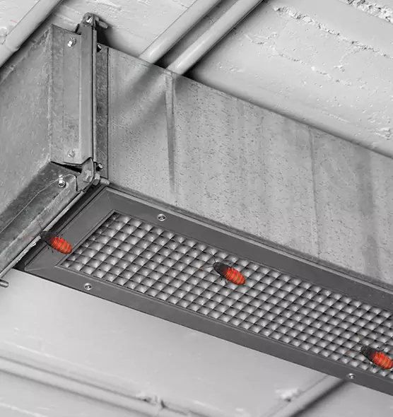 Affordable Insect Removal from Air Ducts in Holbrook, NY