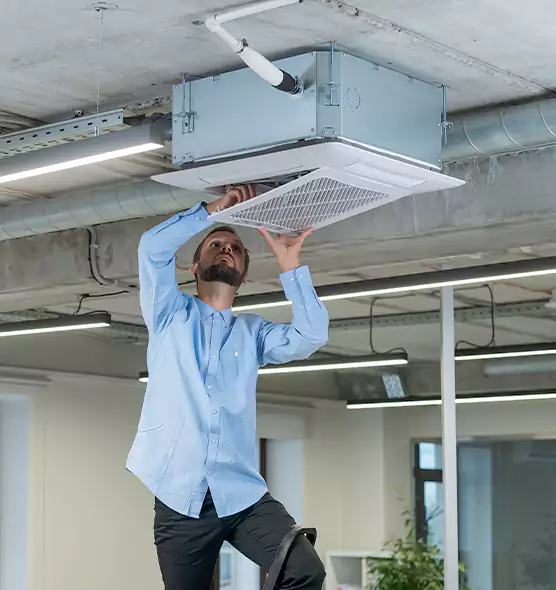 Advanced Rodent Droppings In Vents in Holbrook, NY