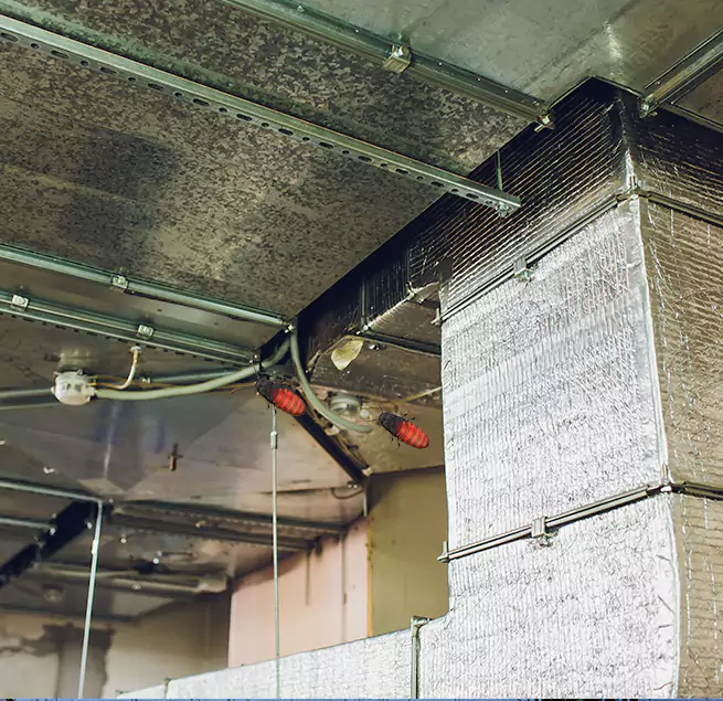 Why Homeowners & Businesses Trust Us Holbrook, NY?