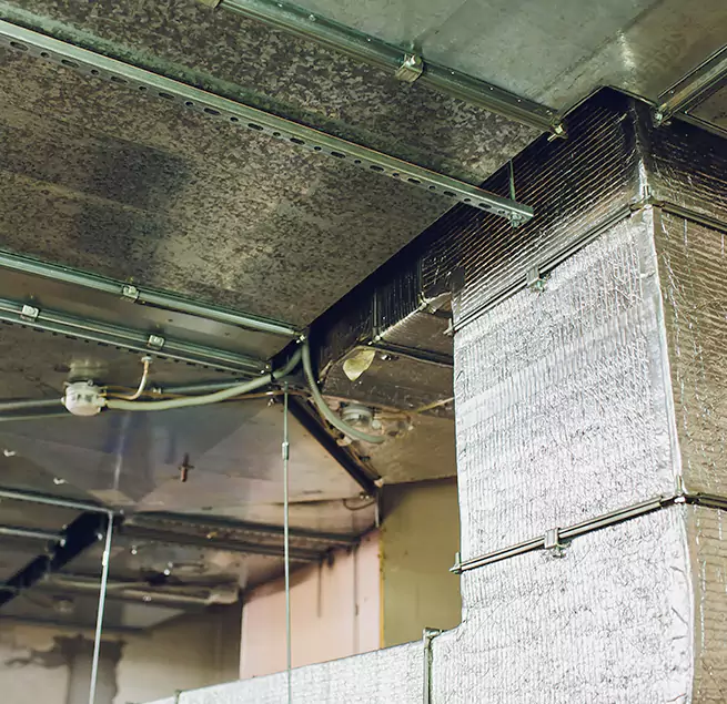 Why Homeowners & Businesses Trust Us in Holbrook, NY?